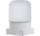 41406 Свет-к накл.прямой д/бани и сауны IP65 230V 60Вт Е27 НББ 01-60-001 Feron